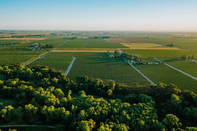 Scenic Countryside