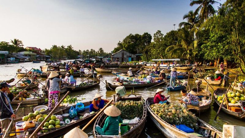 Mekong Delta: The Water World Maze