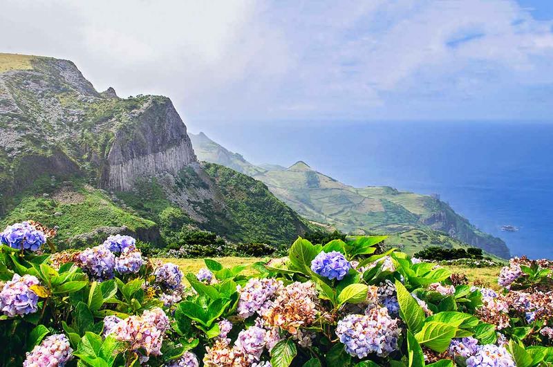 Flores Island – Azores' Floral Wonderland