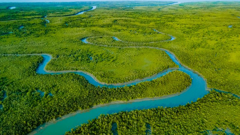 The Sundarbans, Bangladesh/India