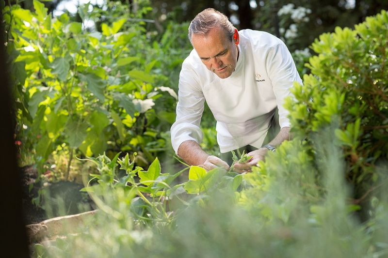 Celebrity Chef Dining
