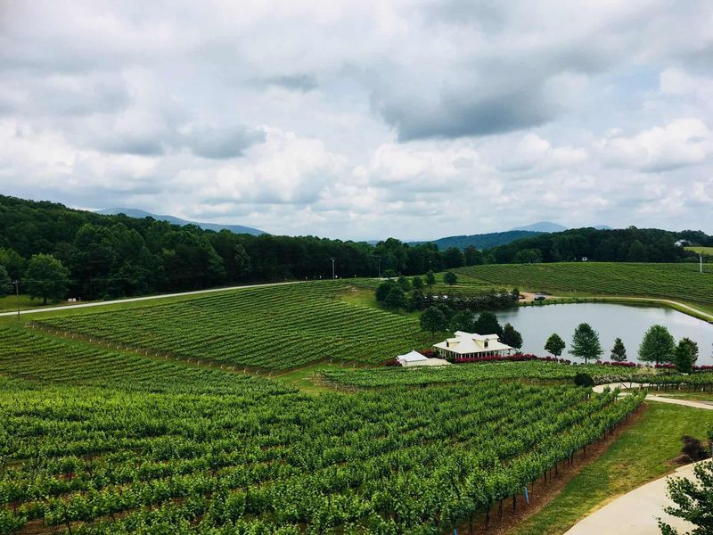 Frogtown Cellars