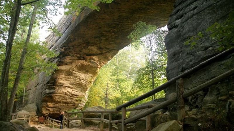 Cincinnati Bengals – Red River Gorge, KY