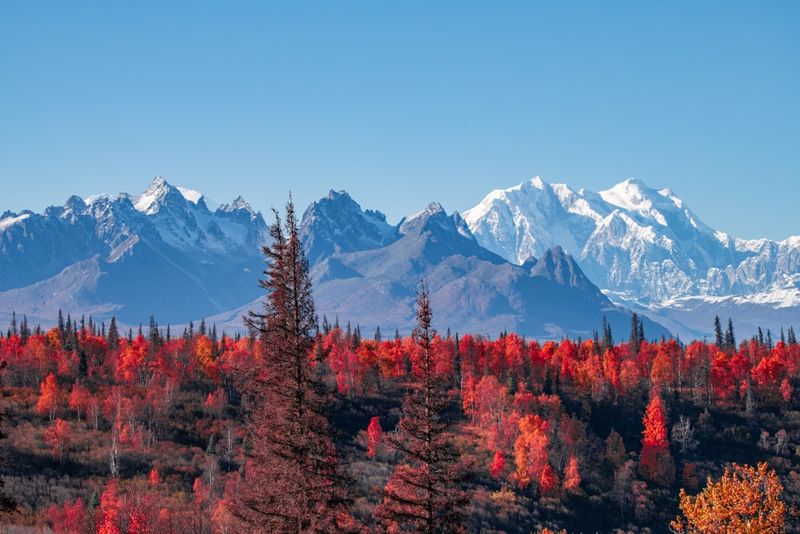Consider Shoulder Season For Better Deals