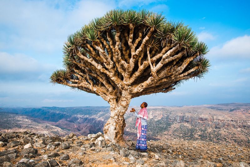 Socotra Island, Yemen