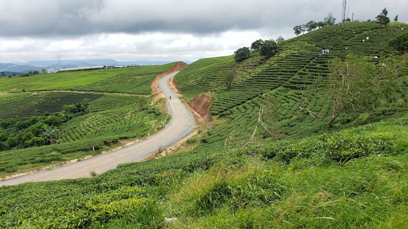 Central Highlands: Coffee Country Expedition