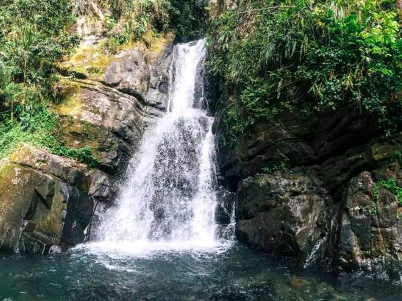 El Yunque National Forest, Puerto Rico