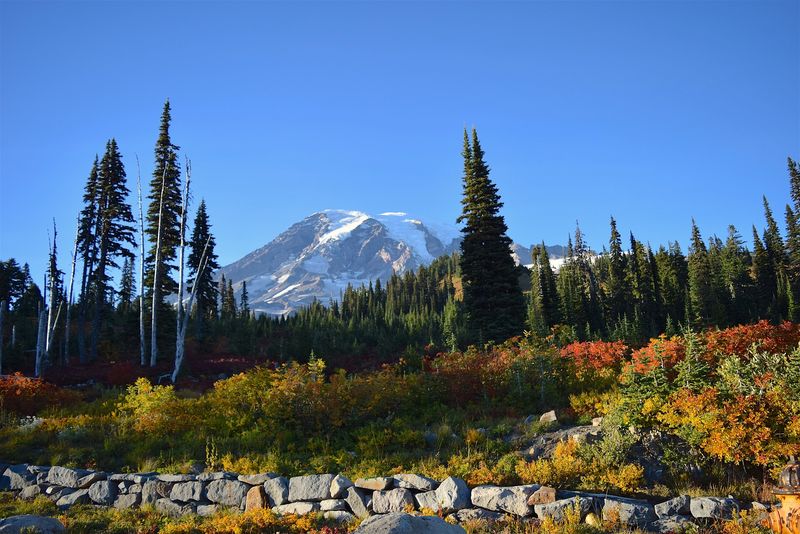 Washington: Emerald Wilderness