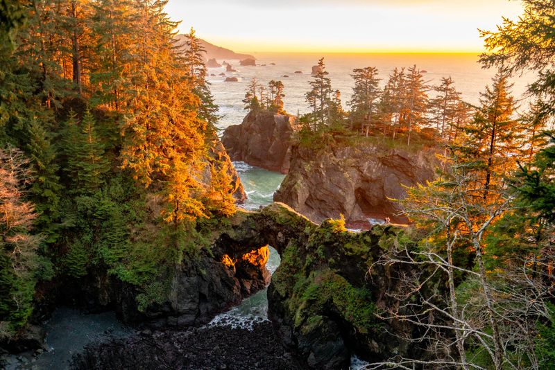 Oregon's Diverse Landscapes