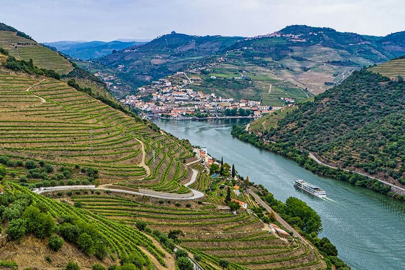 Douro Discovery in Portugal's Wine Country