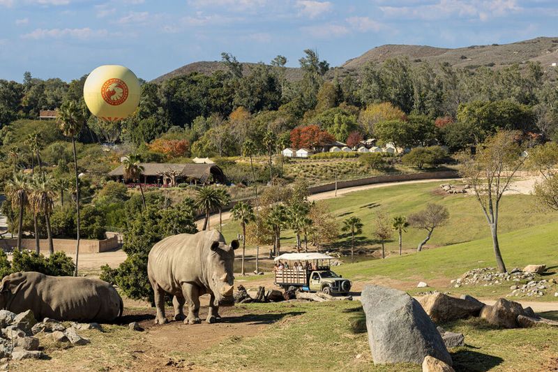 San Diego Zoo Safari Park – Escondido, California