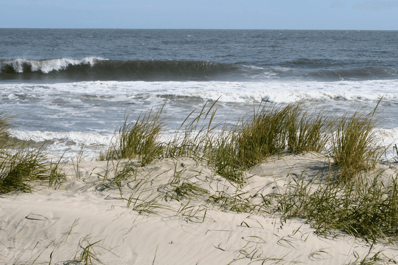 New Jersey: Coastal Letdown