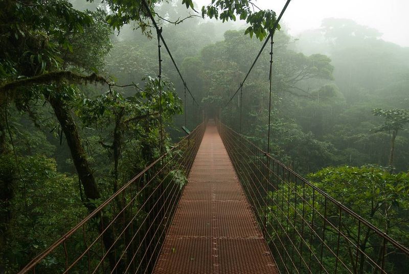 Monteverde Cloud Forest: Costa Rica's Misty Wonderland