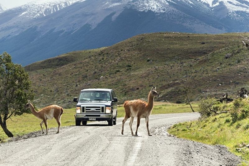Rent a Reliable Vehicle