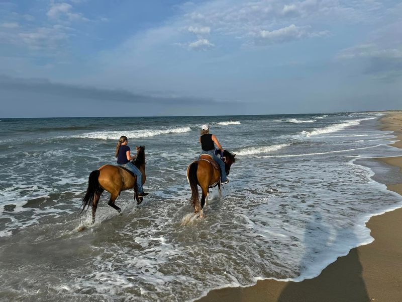 Island Equestrian Experience