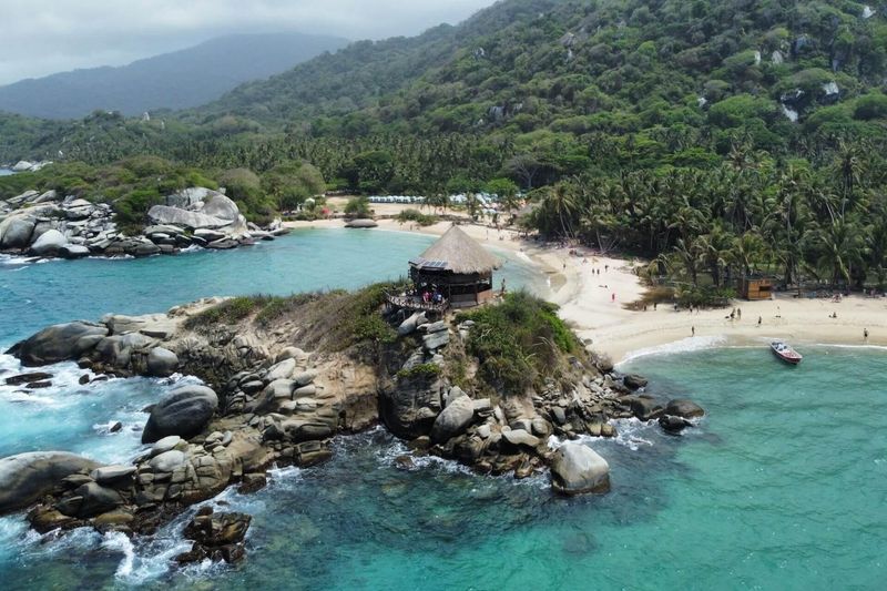 Tayrona Coastal Jungle