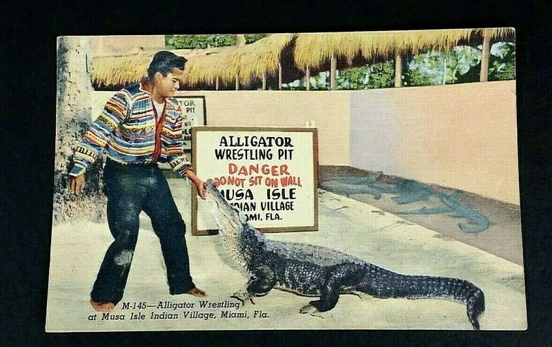 Retro Alligator Wrestling
