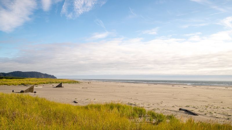 Long Beach, Washington – 28 Miles of Affordable Coastline