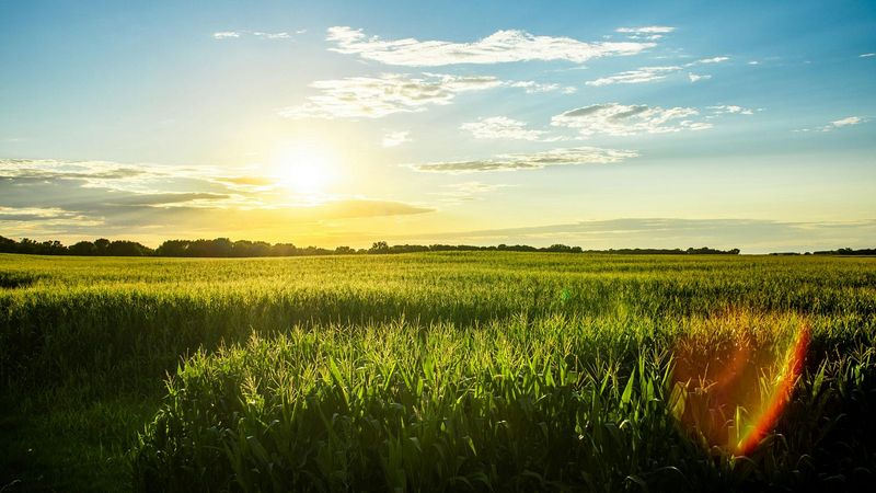Kansas: Long, Flat Drives