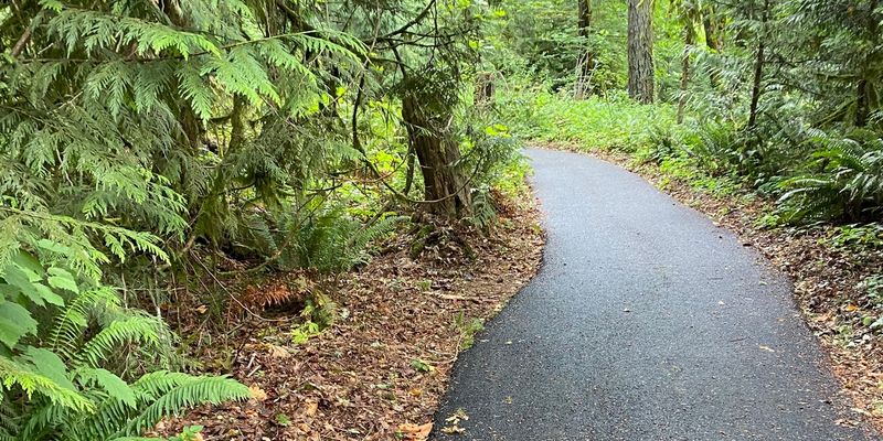 Portland, OR – Forest Park nature walks