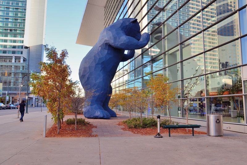 Denver's Blue Bear Phenomenon