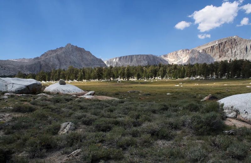 Golden Trout Wilderness's Alpine Meadows