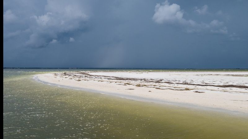 Beaches With Clear Freshwater Springs