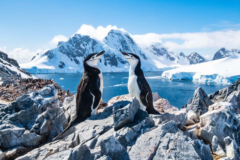 Visiting Antarctica