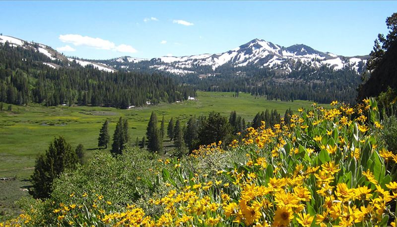 Markleeville: Alpine County's Hidden Treasure