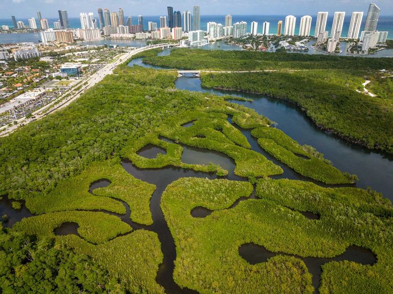 Oleta River State Park