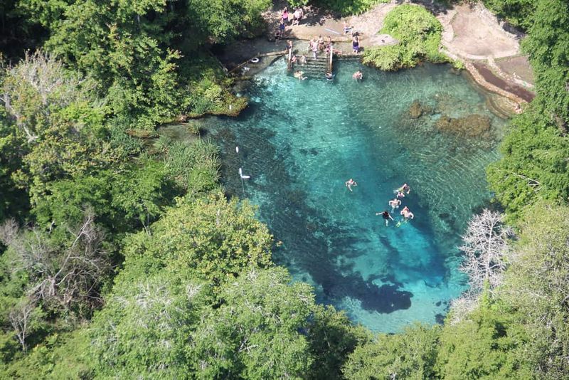 Ichetucknee Springs State Park: Florida's Crystal Clear River Experience