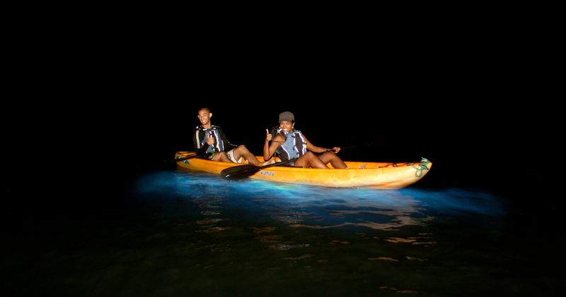 Bioluminescent Bay, Vieques, Puerto Rico