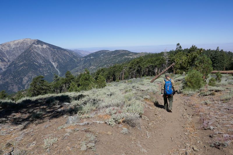Wrightwood Forest Hideaway