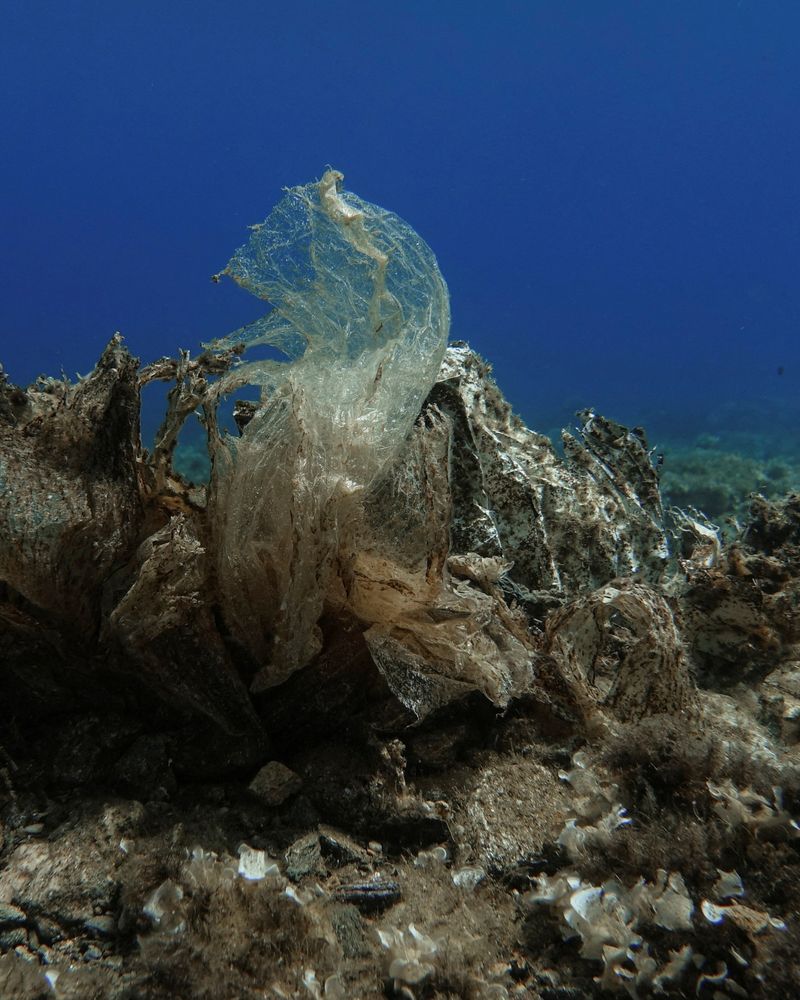 Environmental Impact Awareness
