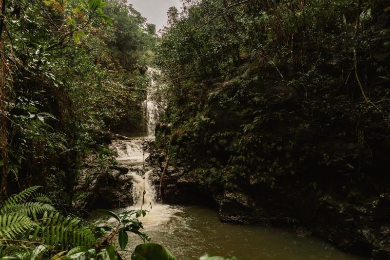 Waimano Falls Descent