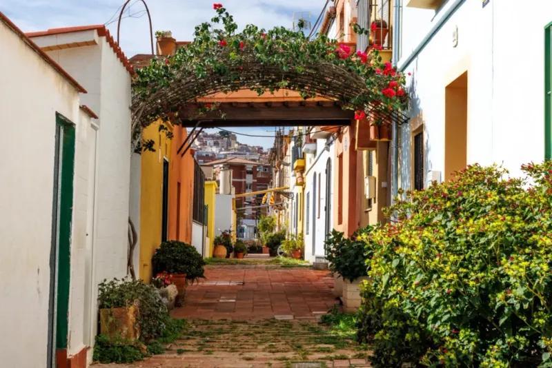 Horta