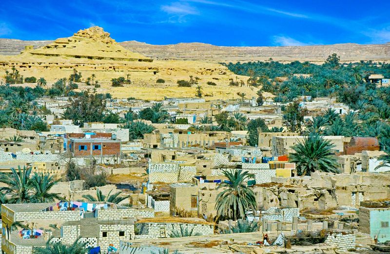Farafra Oasis, Egypt