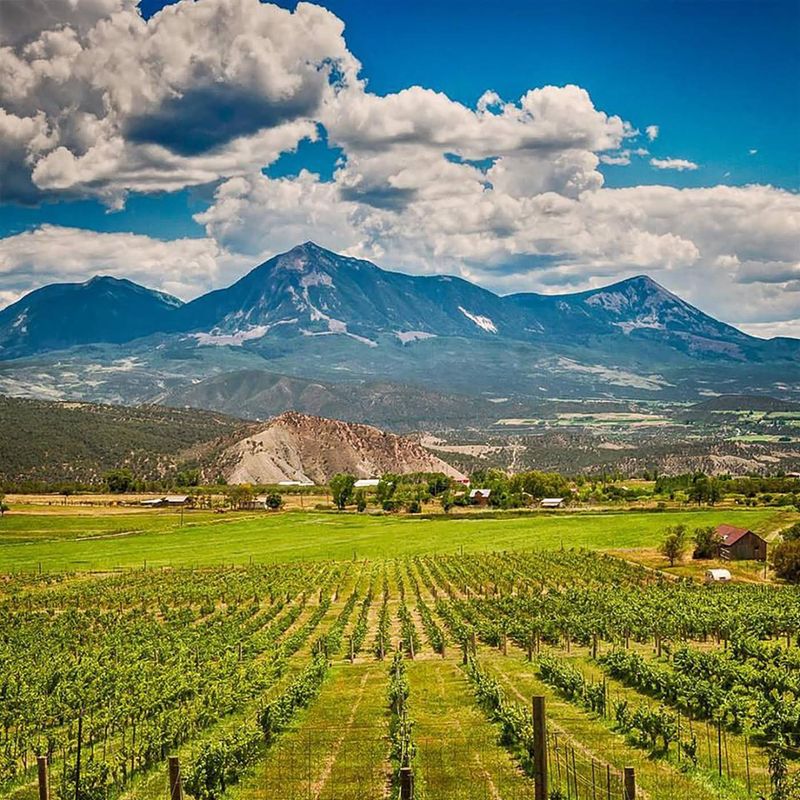 Paonia, Colorado
