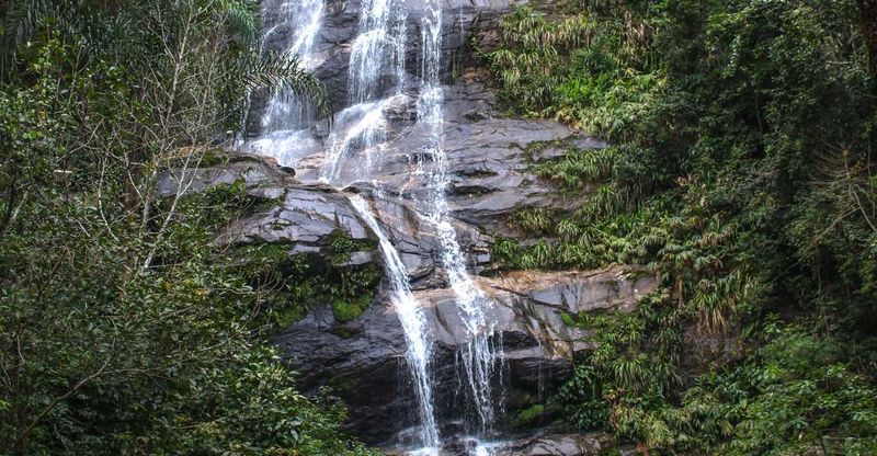 Morning Hike In Tijuca National Park