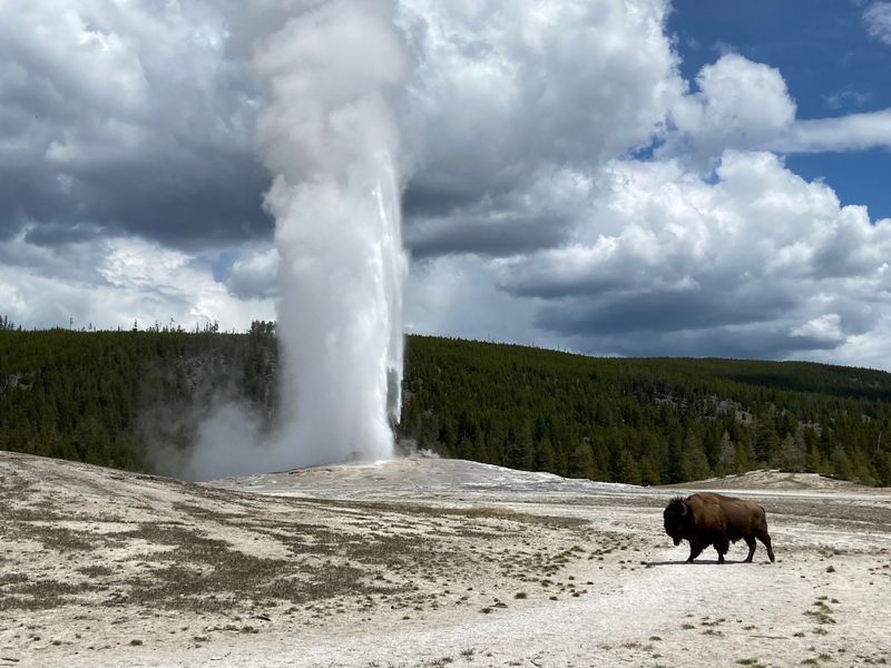 Explore Yellowstone National Park