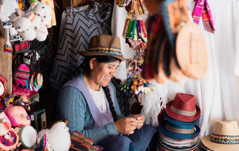 Cultural Immersion with Excursions