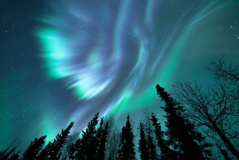 Watch The Northern Lights In Alaska