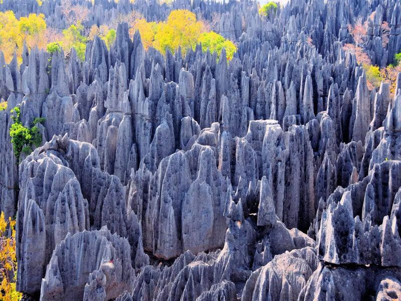 Tsingy de Bemaraha, Madagascar (Mind-Blowing)