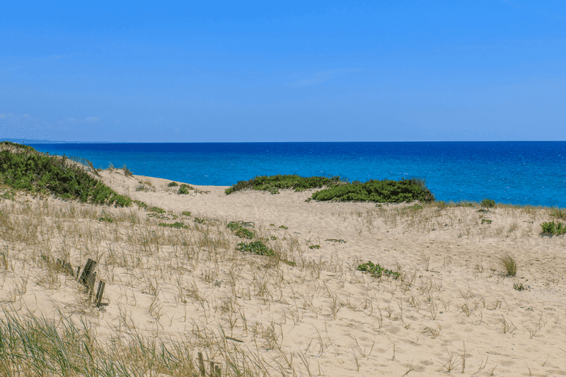 Comporta, Portugal: The Anti-Algarve Getaway