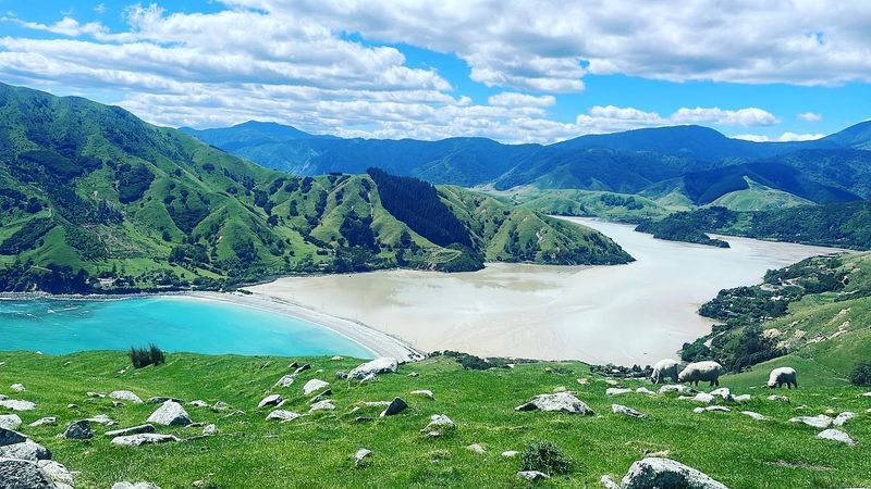 New Zealand