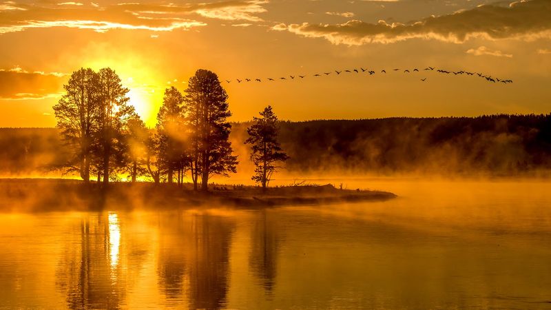 Hayden Valley Sunrise