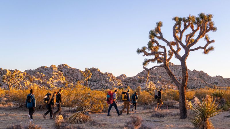 Great American Outdoors Day (August 4, 2025)