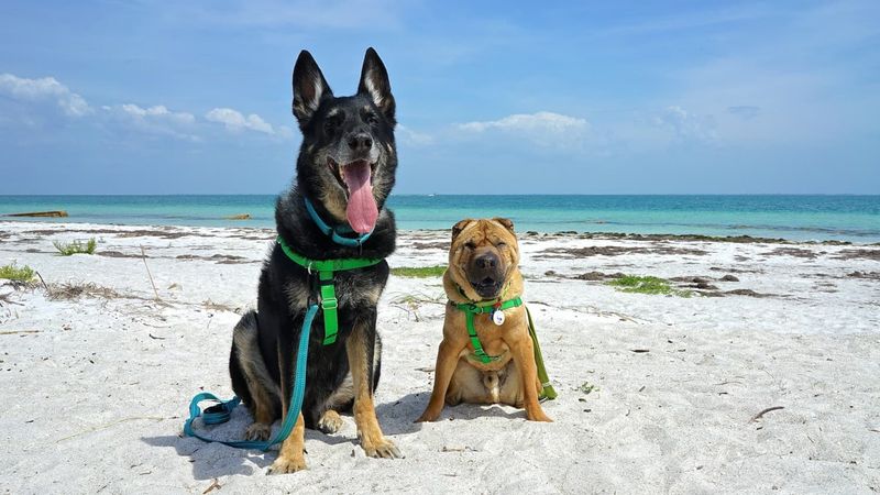 Key West, FL – Island beach fun