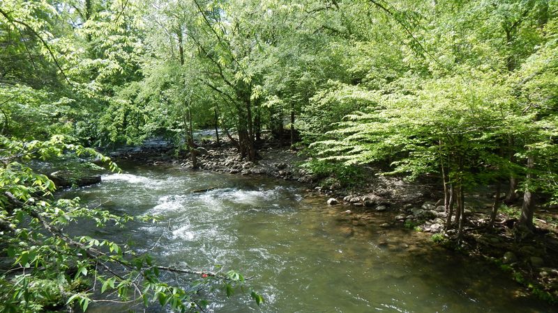 Pittman Center - Sanctuary of Mountain Learning