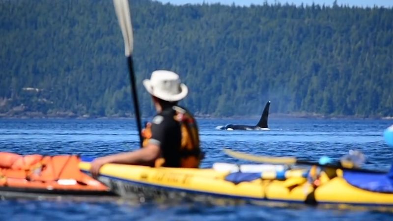 Canada's Pristine Wilderness